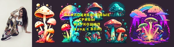 spice Беломорск