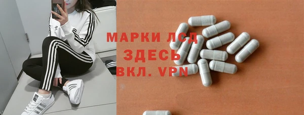 индика Белокуриха