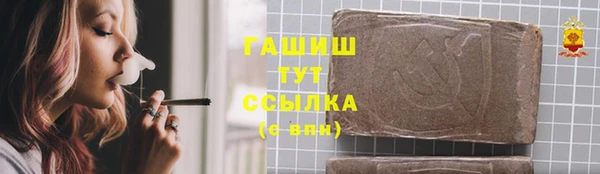 индика Белокуриха