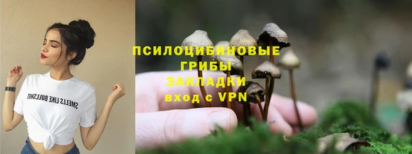 тгк Богородицк
