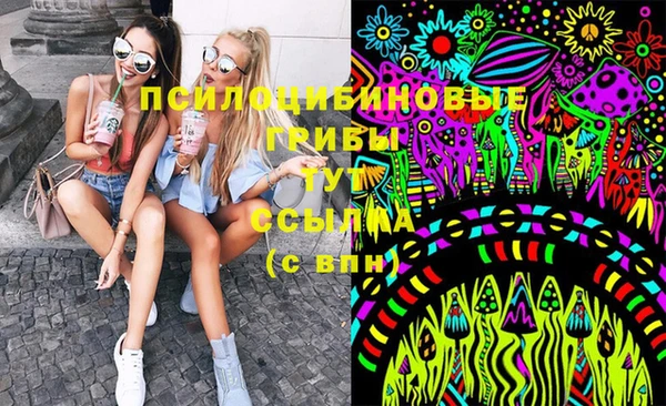 PSILOCYBIN Богородск